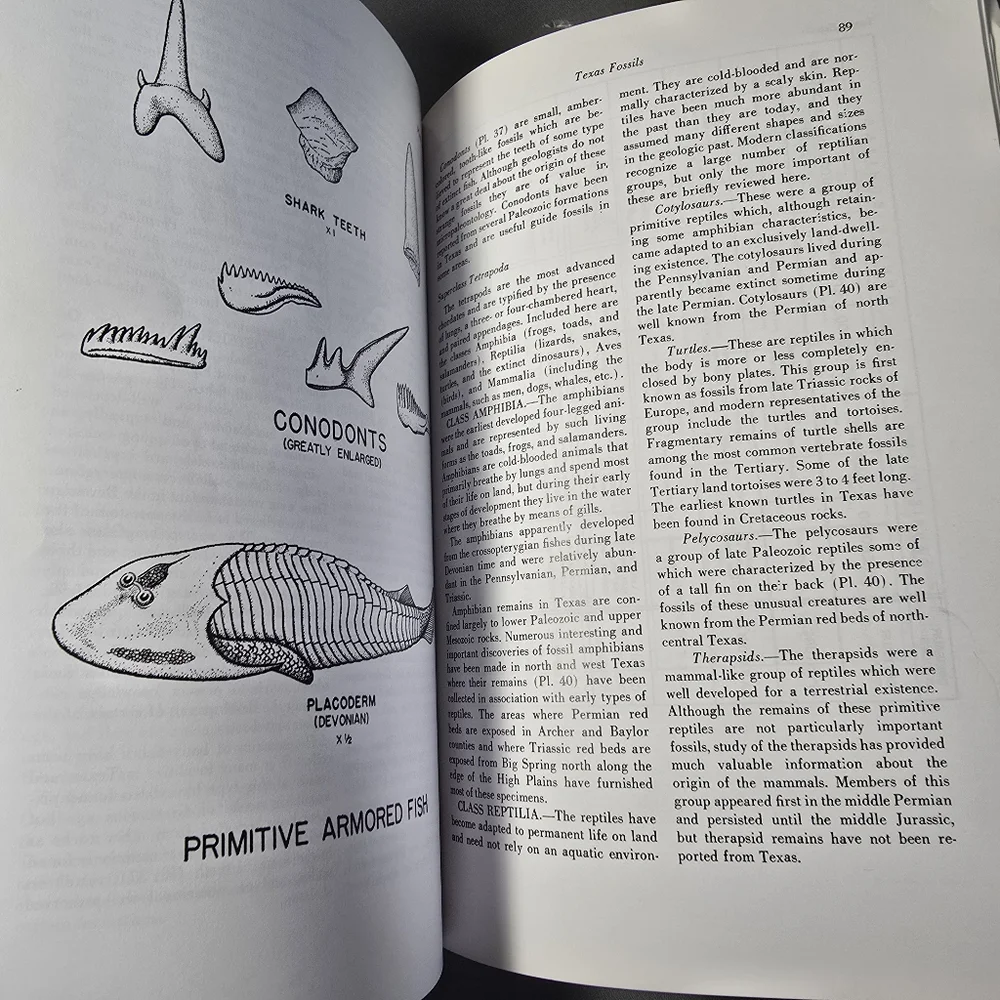 Texas Fossils amateur Collectors Handbook Guidebook 2 by William Matthews